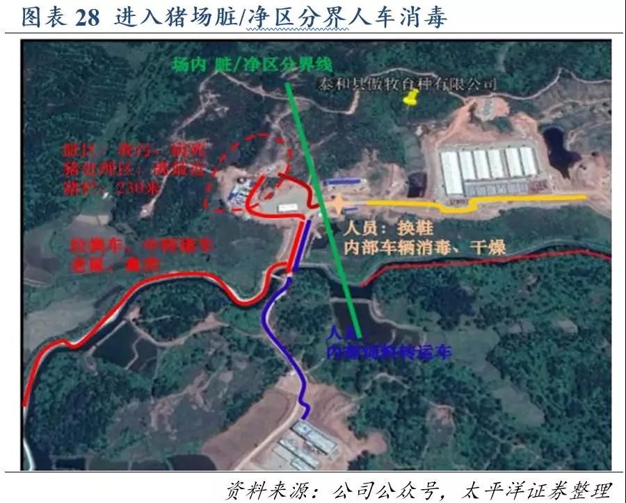 熟妇丰满多毛的大隂户