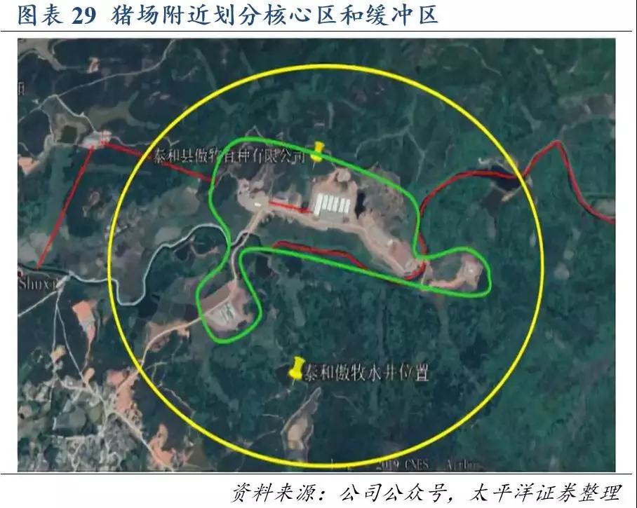 熟妇丰满多毛的大隂户