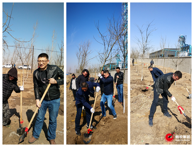 熟妇丰满多毛的大隂户