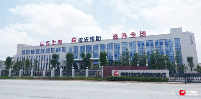 熟妇丰满多毛的大隂户