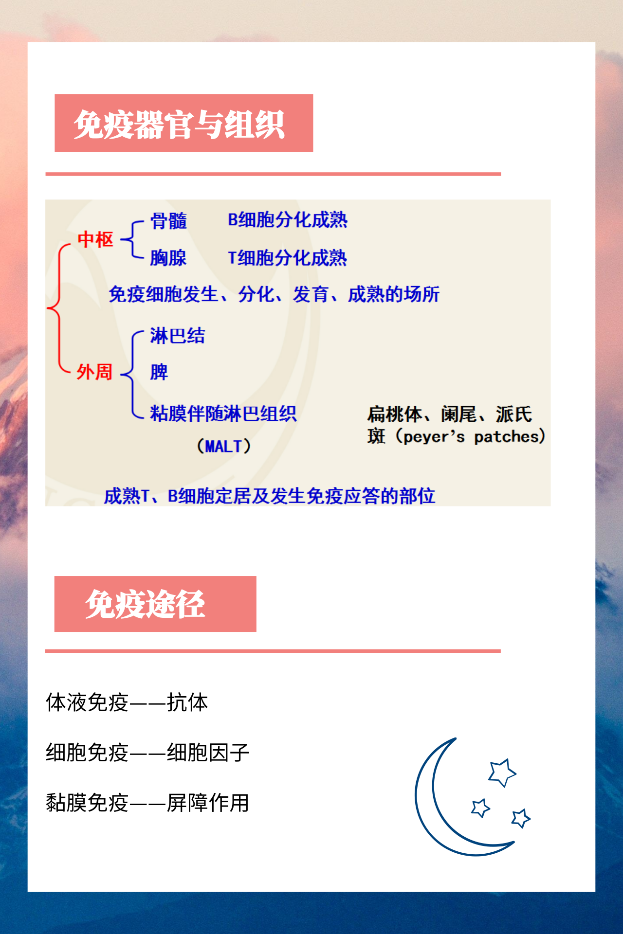 熟妇丰满多毛的大隂户