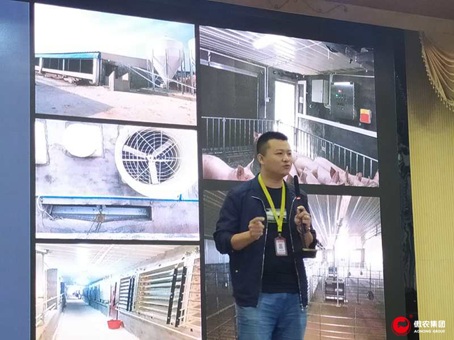 熟妇丰满多毛的大隂户