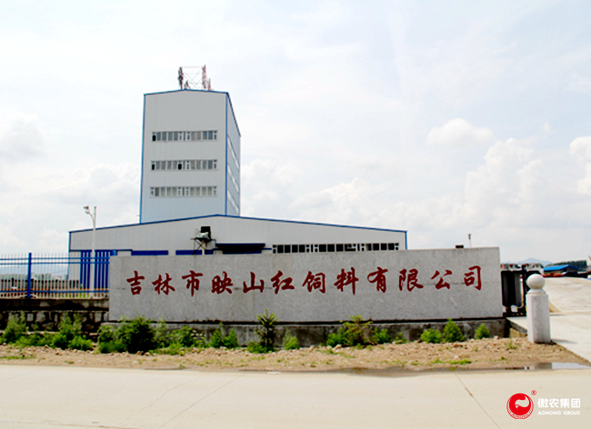 熟妇丰满多毛的大隂户