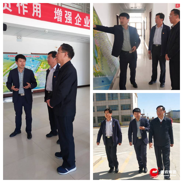 熟妇丰满多毛的大隂户