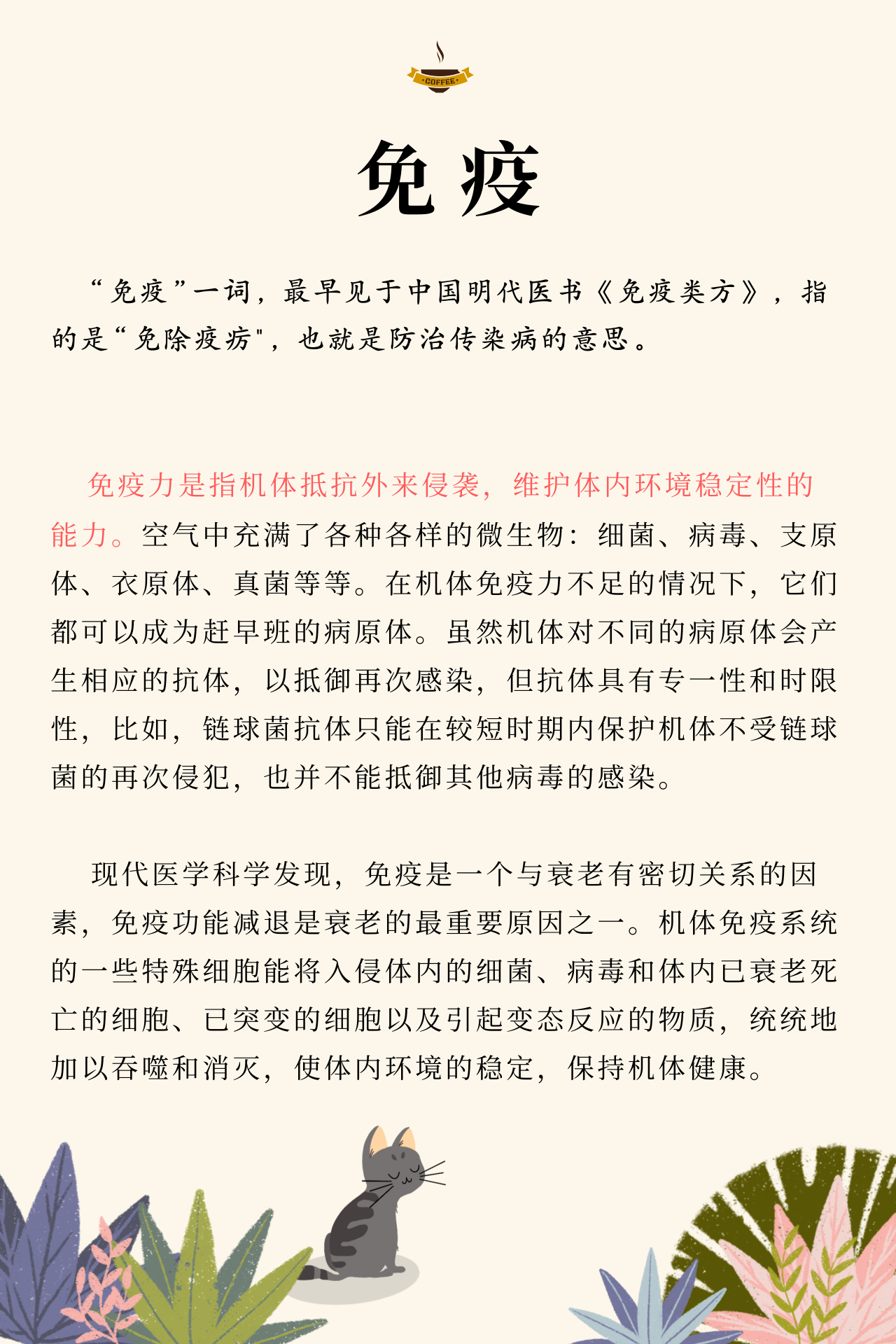 熟妇丰满多毛的大隂户