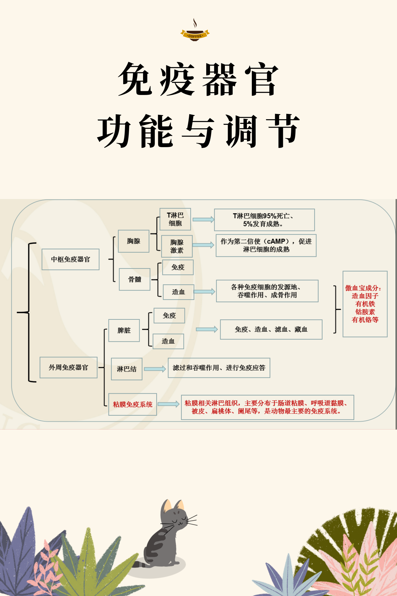 熟妇丰满多毛的大隂户