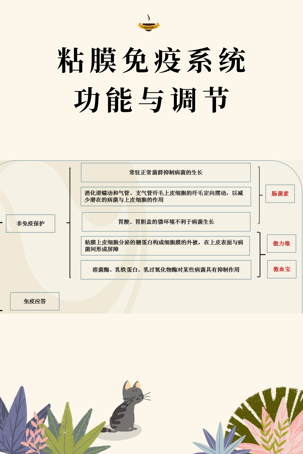 熟妇丰满多毛的大隂户