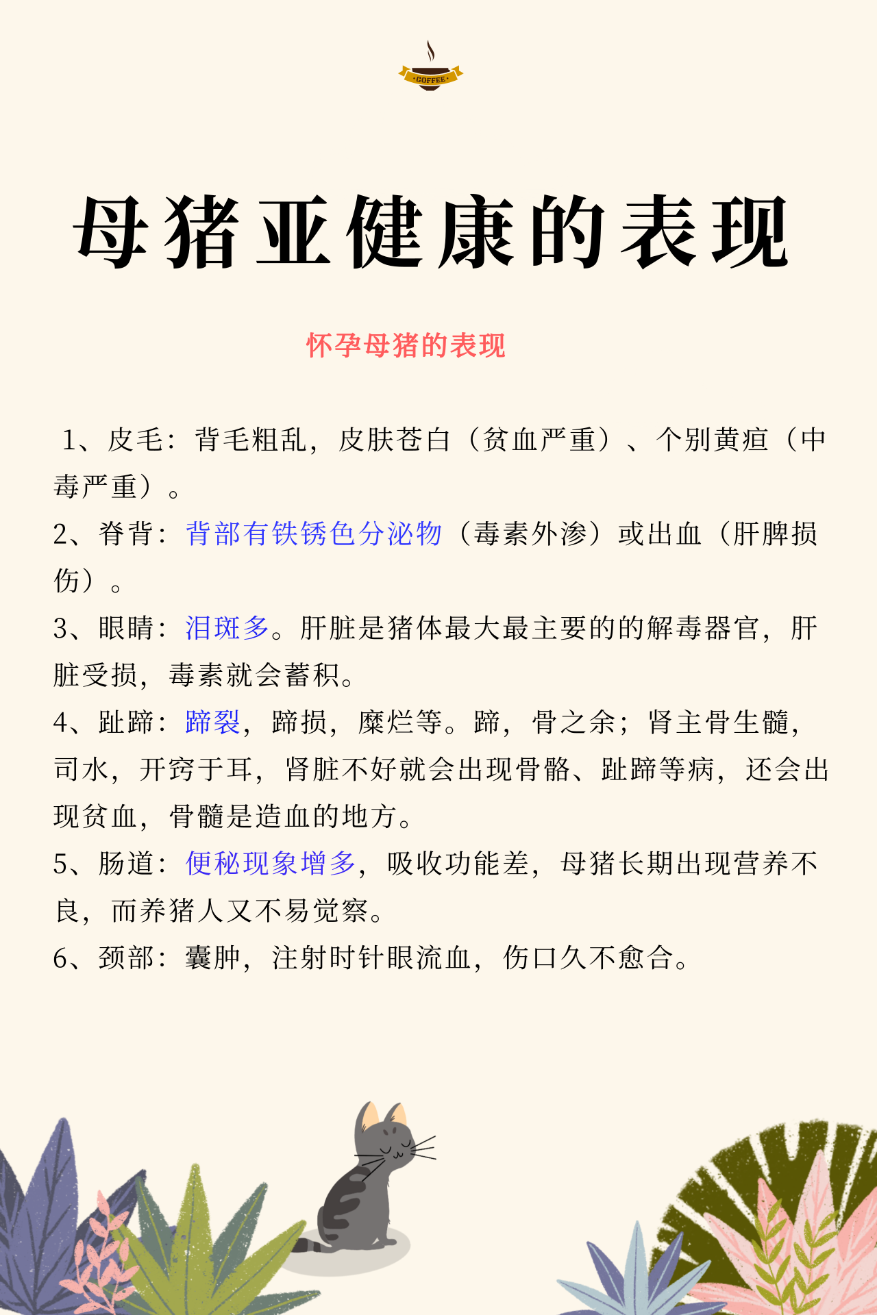 熟妇丰满多毛的大隂户