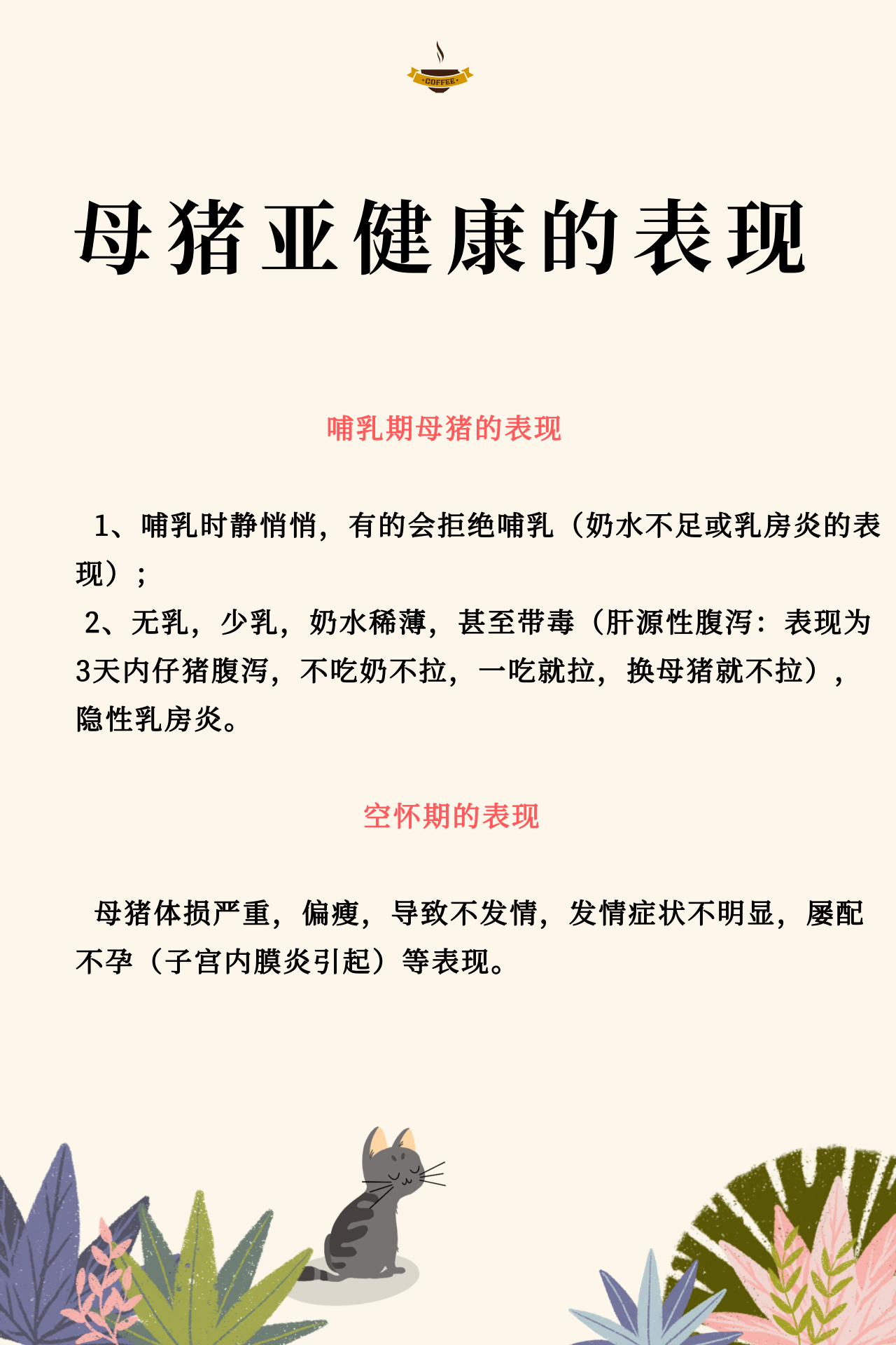 熟妇丰满多毛的大隂户
