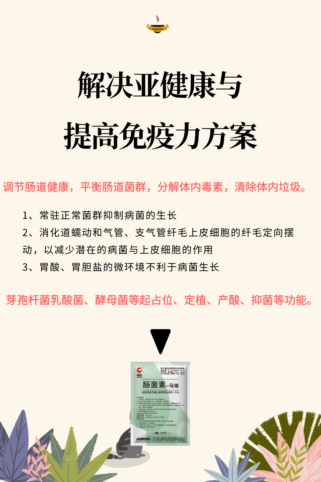熟妇丰满多毛的大隂户