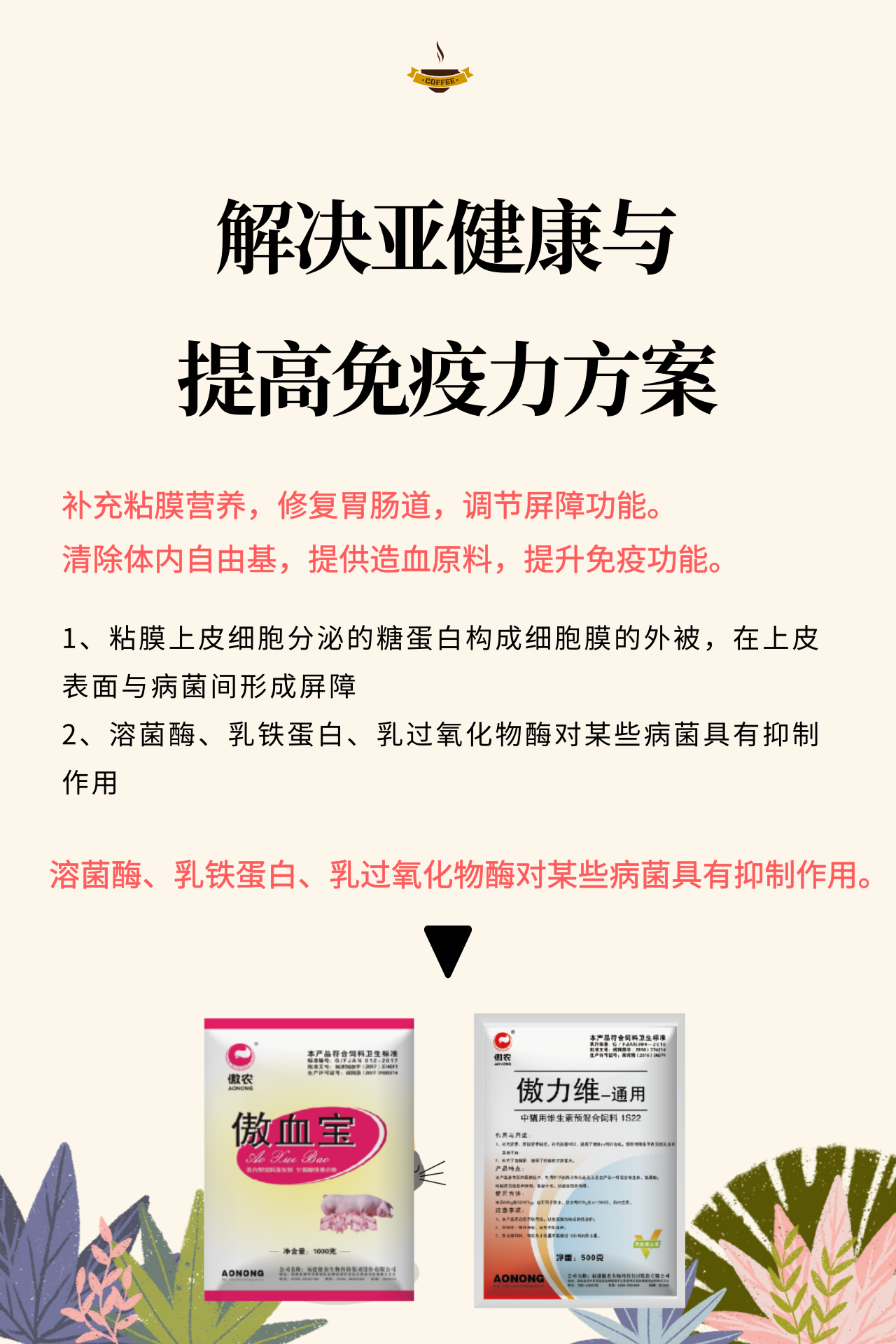 熟妇丰满多毛的大隂户