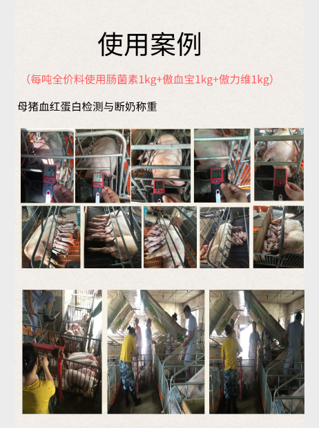 熟妇丰满多毛的大隂户