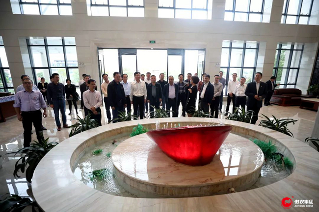 熟妇丰满多毛的大隂户