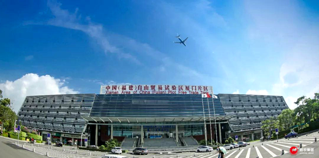 熟妇丰满多毛的大隂户