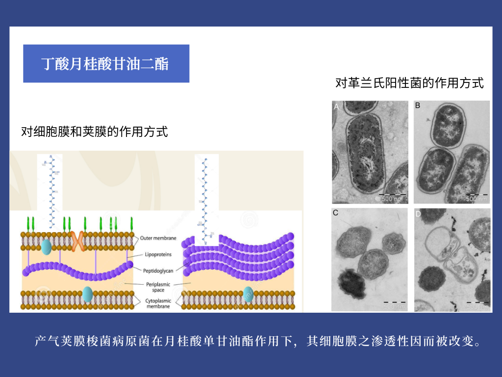熟妇丰满多毛的大隂户