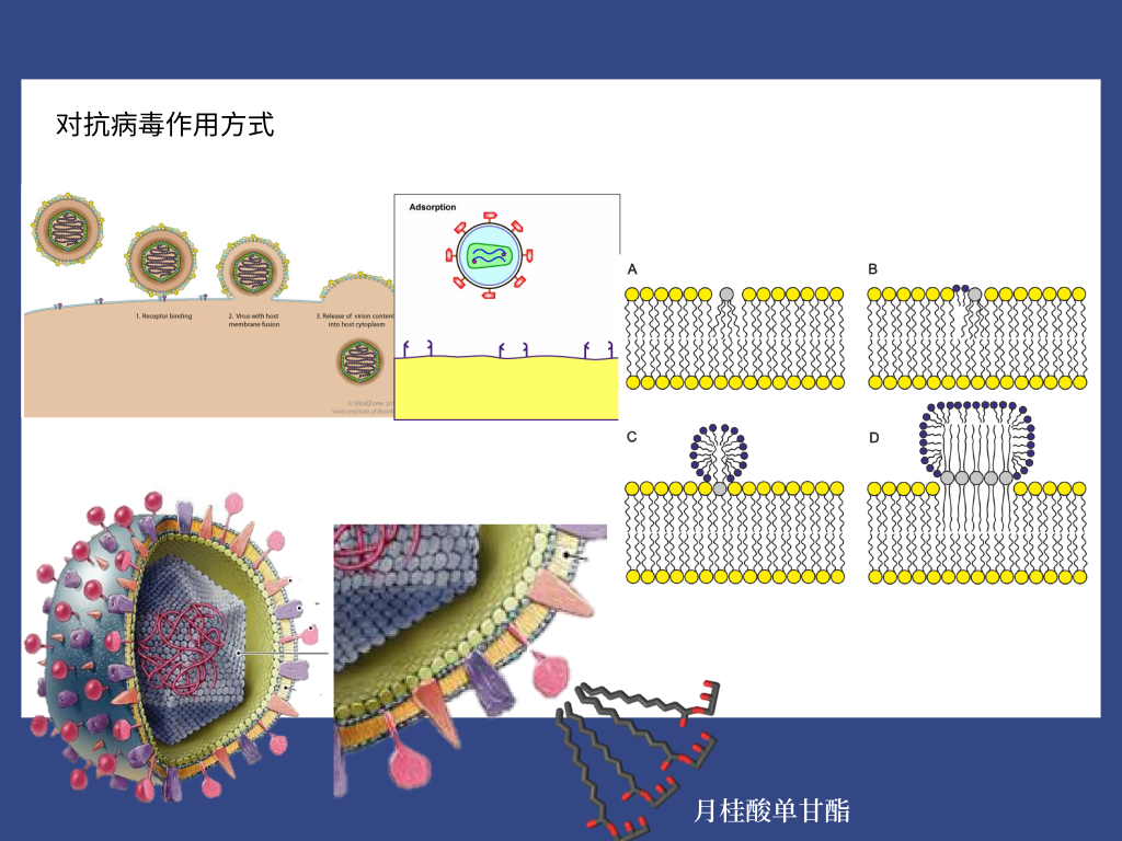 熟妇丰满多毛的大隂户