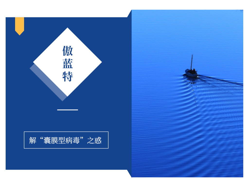 熟妇丰满多毛的大隂户