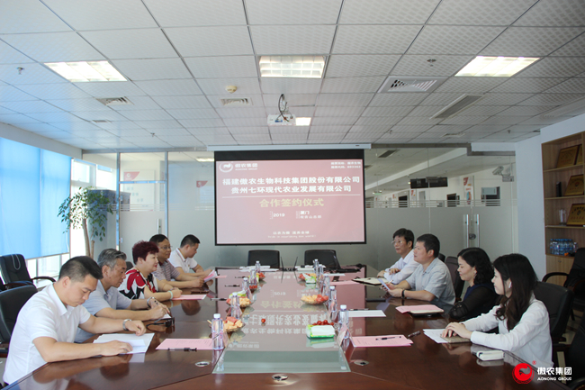 熟妇丰满多毛的大隂户