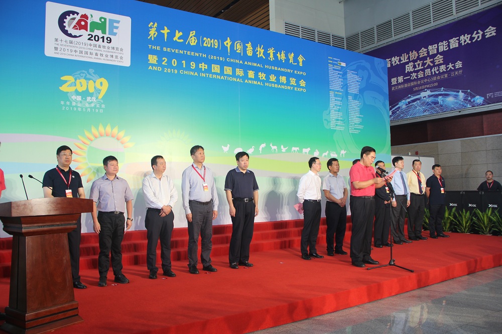 熟妇丰满多毛的大隂户