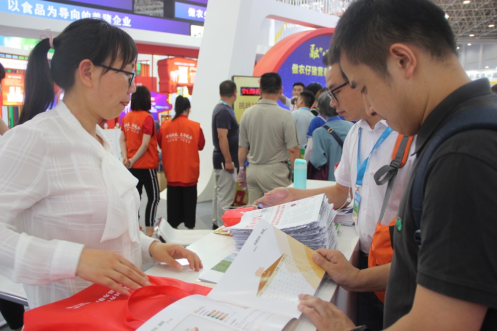 熟妇丰满多毛的大隂户