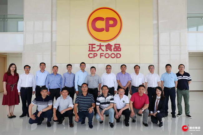 熟妇丰满多毛的大隂户