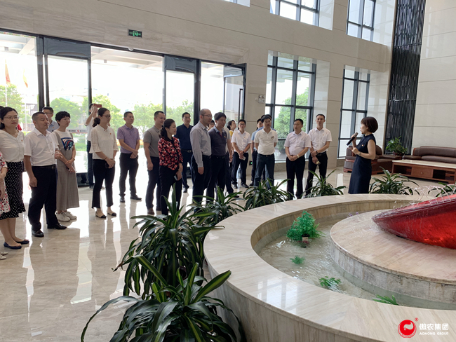 熟妇丰满多毛的大隂户