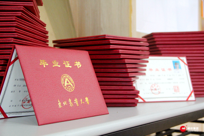 熟妇丰满多毛的大隂户