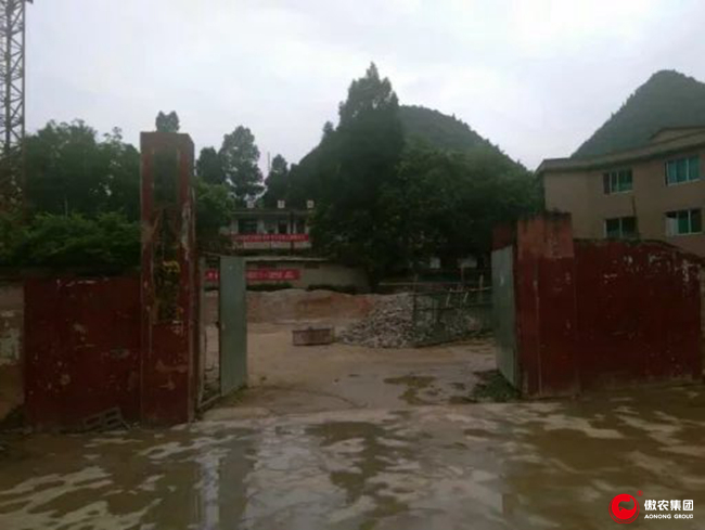 熟妇丰满多毛的大隂户