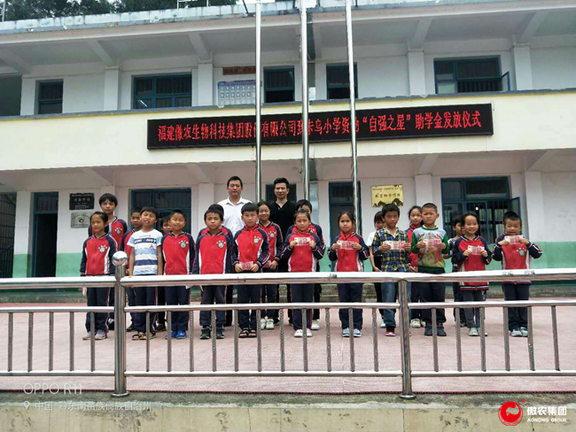 熟妇丰满多毛的大隂户