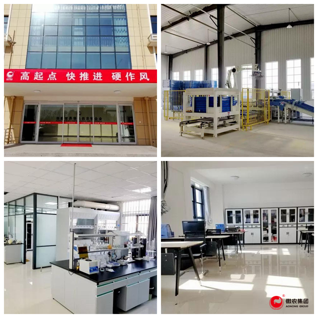 熟妇丰满多毛的大隂户