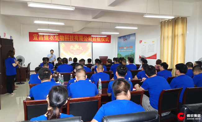 熟妇丰满多毛的大隂户