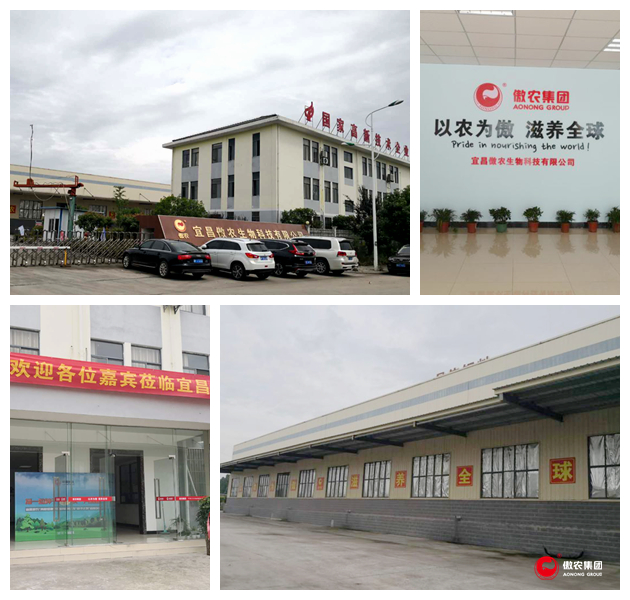 熟妇丰满多毛的大隂户