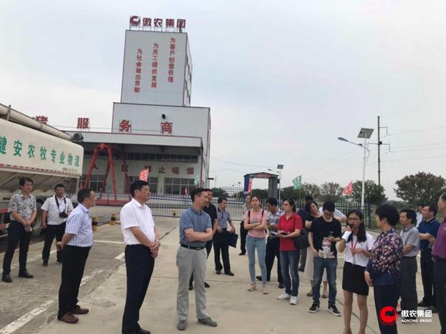 熟妇丰满多毛的大隂户