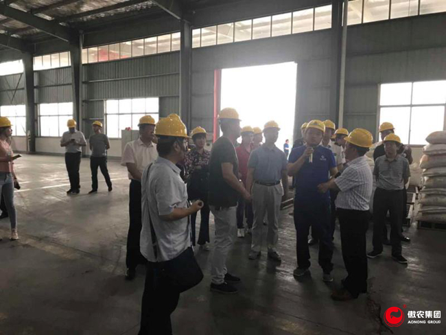 熟妇丰满多毛的大隂户