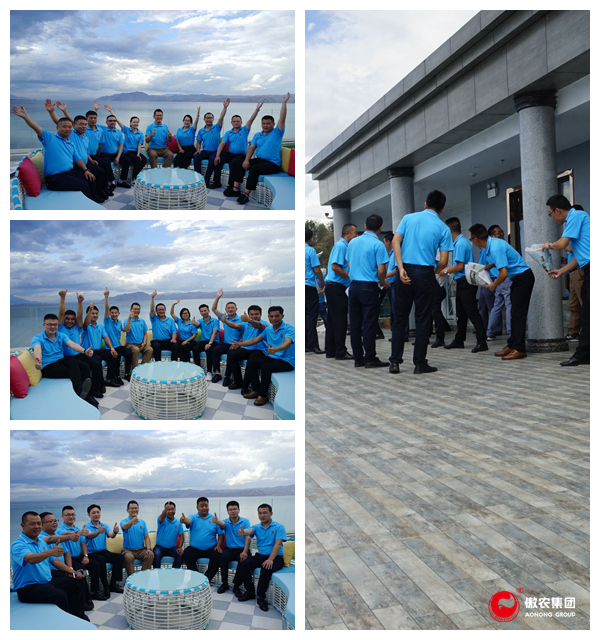 熟妇丰满多毛的大隂户