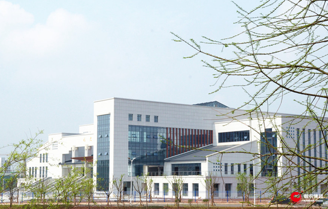 熟妇丰满多毛的大隂户