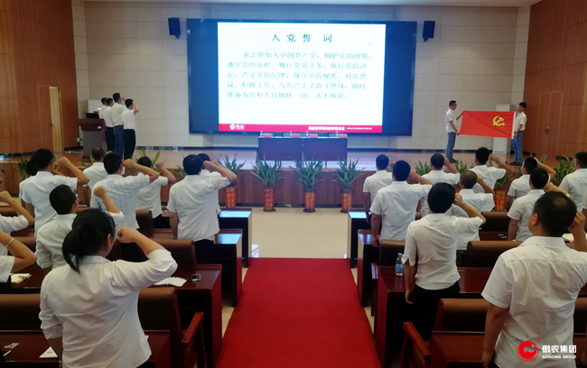 熟妇丰满多毛的大隂户