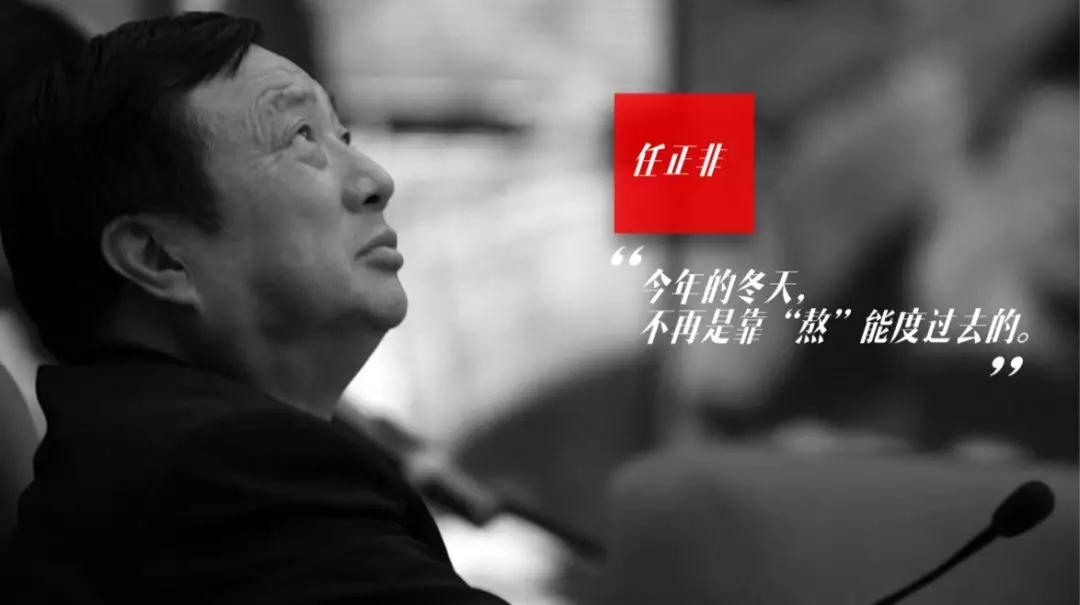 熟妇丰满多毛的大隂户