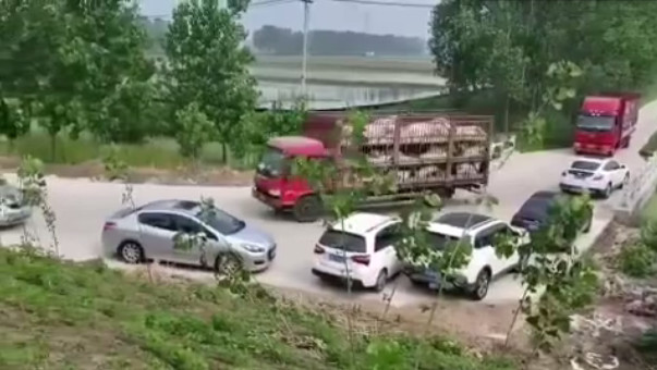 熟妇丰满多毛的大隂户