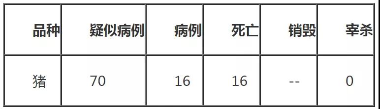 熟妇丰满多毛的大隂户