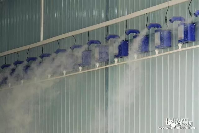 熟妇丰满多毛的大隂户