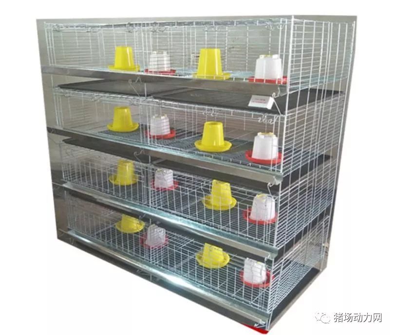 熟妇丰满多毛的大隂户