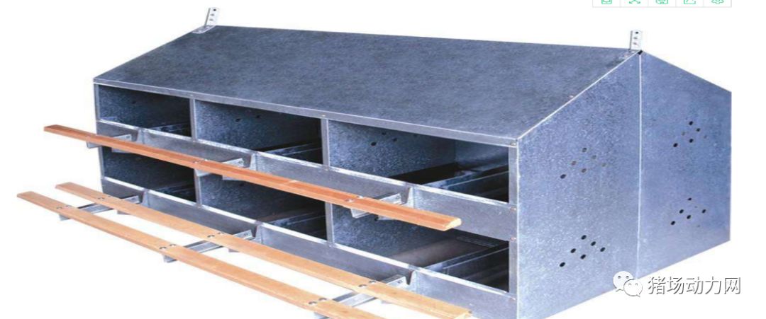 熟妇丰满多毛的大隂户