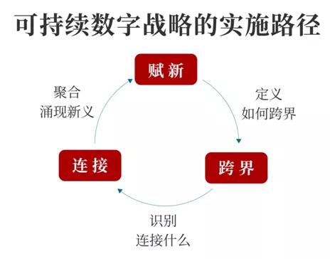 熟妇丰满多毛的大隂户