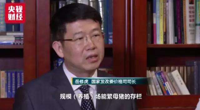 熟妇丰满多毛的大隂户