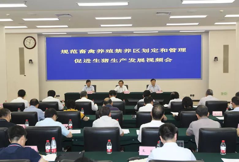 熟妇丰满多毛的大隂户