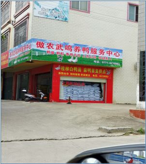 熟妇丰满多毛的大隂户