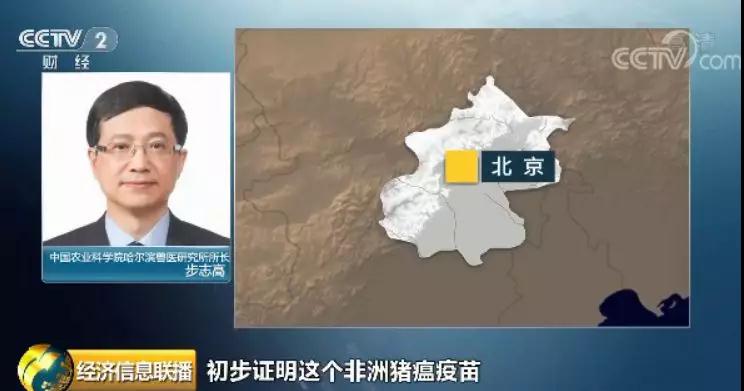 熟妇丰满多毛的大隂户