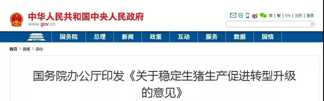 熟妇丰满多毛的大隂户