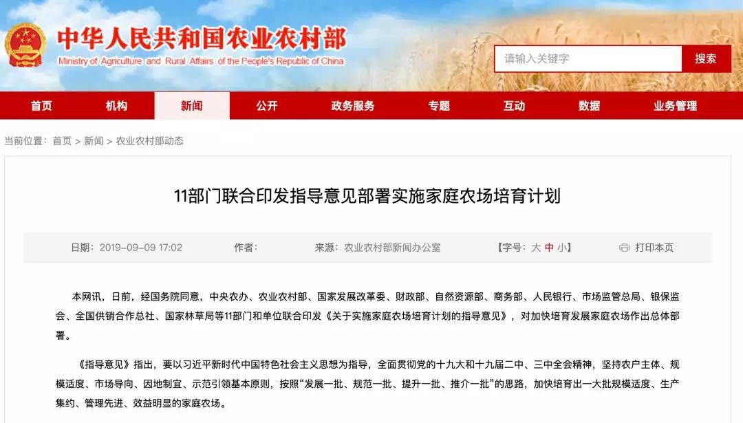 熟妇丰满多毛的大隂户